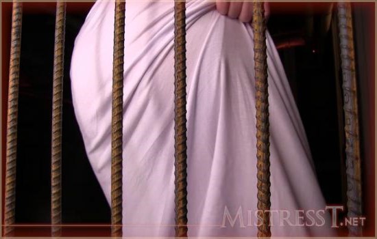 MistressT 18 05 27 Caged And Teased XXX 720p MP4-WEIRD